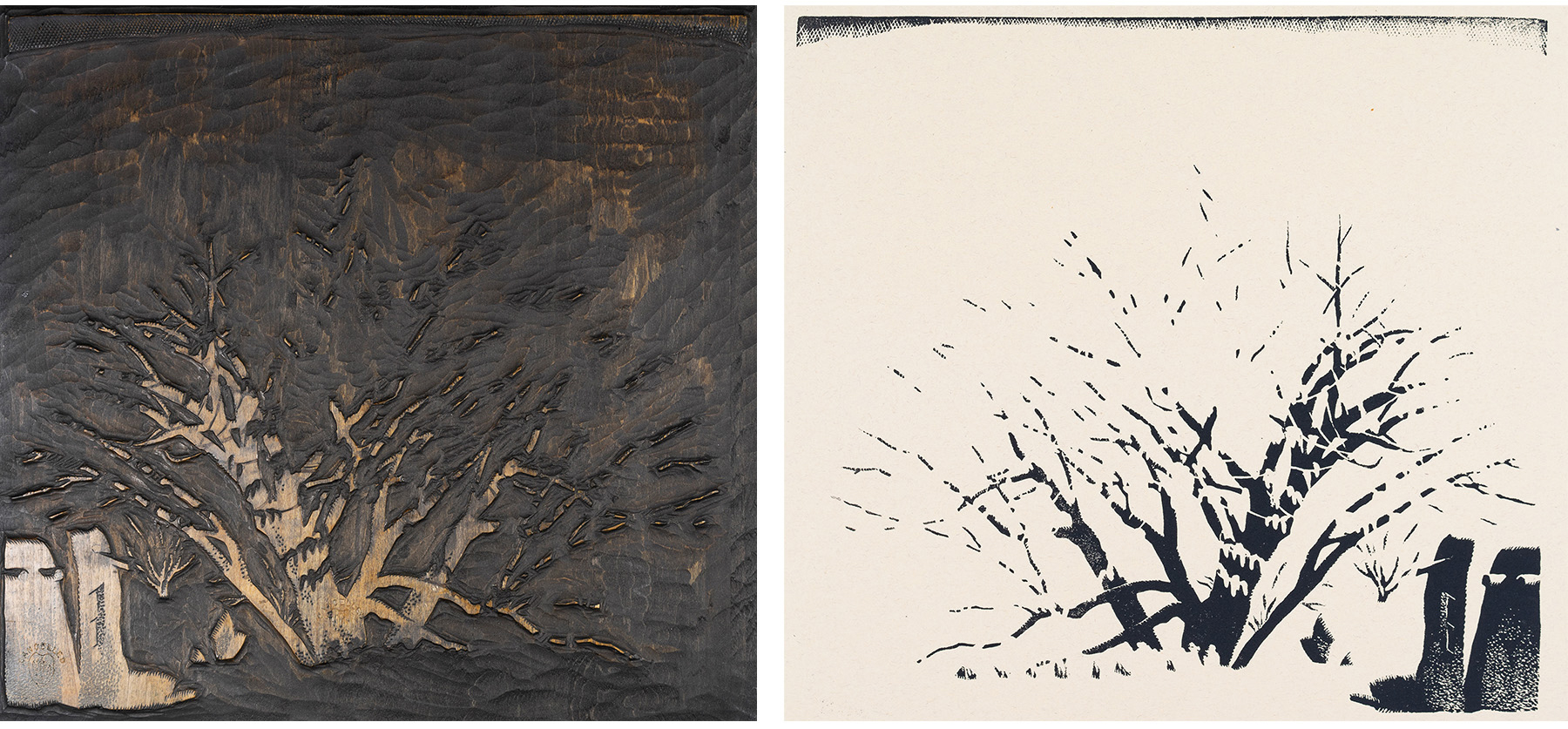 Explore the creation of Baumann woodcuts at new UNMAM exhibition